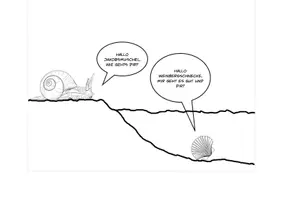 Vorschau - Stundenentwürfe - Weinbergschnecke und Jakobsmuschel im Vergleich - Seite 1