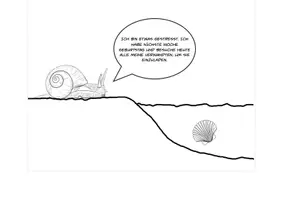 Vorschau - Stundenentwürfe - Weinbergschnecke und Jakobsmuschel im Vergleich - Seite 2