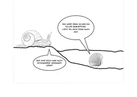 Vorschau - Stundenentwürfe - Weinbergschnecke und Jakobsmuschel im Vergleich - Seite 3