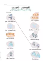 Vorschau - Arbeitsblätter - DAZ_Winter_Einzahl - Mehrzahl_Arbeitsblätter - Seite 1