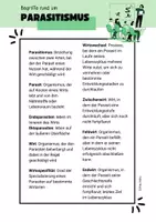 Vorschau - Arbeitsblätter - Arbeitsblatt Präsentationsreihe Parasiten Frau Bieku - Seite 2