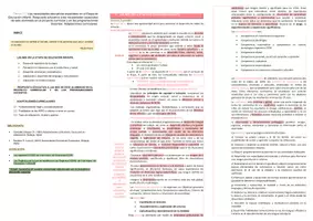 Vista previa - Para docentes: organización, planificación y formación - Oposiciones PT (todas las comunidades): Esquema tema 11 - página 1