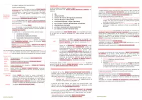 Vista previa - Para docentes: organización, planificación y formación - Oposiciones PT (todas las comunidades): Esquema tema 11 - página 2