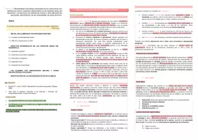 Vista previa - Para docentes: organización, planificación y formación - Oposiciones PT (todas las comunidades): Esquema tema 18 - página 1