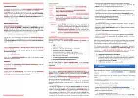 Vista previa - Para docentes: organización, planificación y formación - Oposiciones PT (todas las comunidades): Esquema tema 18 - página 2
