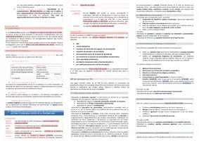 Vista previa - Para docentes: organización, planificación y formación - Oposiciones PT (todas las comunidades): Esquema tema 23 - página 2