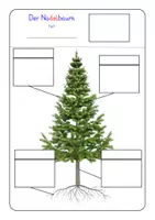 Vorschau - Arbeitsblätter - Arbeitsblätter & Klettmappe: Aufbau von Nadelbäumen & Laubbäumen (Wald, Baum) - Seite 2
