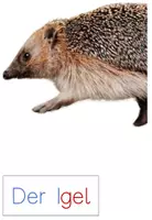 Vorschau - Präsentationen/Tafelbilder - Tafelmaterial Körper Igel - Seite 2