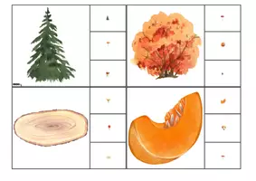 Aperçu - Apprentissages en autonomie - Les cartes à pince zoom sur l'automne - Page 3