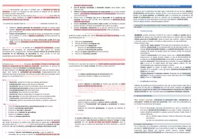 Vista previa - Para docentes: organización, planificación y formación - Oposiciones PT (todas las comunidades): Esquema tema 15 - página 2