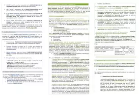 Vista previa - Para docentes: organización, planificación y formación - Oposiciones PT (todas las comunidades): Esquema tema 15 - página 3