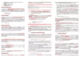 Vista previa - Para docentes: organización, planificación y formación - Oposiciones PT (todas las comunidades): Esquema tema 19 - página 2