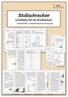 Vorschau - Stationenlernen - Stabschrecken Lerntheke Grundschule - Deckblatt