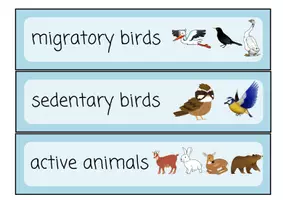 Vorschau - Arbeitsblätter - Tiere im Winter/Animals in Winter Materialpaket - Englisch und CLIL Material für den Sachunterricht - Seite 2