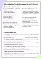 Vorschau - Arbeitsblätter - Pubertät - Körperliche Veränderungen - Seite 2