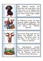 Vorschau - Arbeitsblätter - Lesen Verstehen Schreiben - Bauernhof | Abschreibübungen | Lesen lernen | Deutsch 2. Klasse - Seite 2