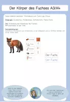 Vorschau - Präsentationen/Tafelbilder - Tafelmaterial Körper Fuchs1 - Seite 1