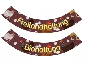 Vorschau - Präsentationen/Tafelbilder - Legekreis Haltungsformen Huhn - Seite 3