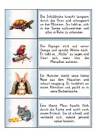 Vorschau - Arbeitsblätter - Lesen Verstehen Schreiben - Sparpaket | Abschreibübungen | Lesen lernen - Seite 3