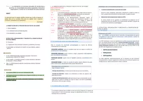 Vista previa - Para docentes: organización, planificación y formación - Oposiciones PT (todas las comunidades): Esquema tema 6 - página 1