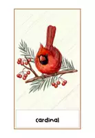 anteprima - Flashcard - Flashcards di Natale - Christmas Flashcards - Pagina 2