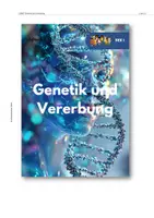Vorschau - Unterrichtsreihen - Sparpaket: Genetik und Vererbung - Seite 2