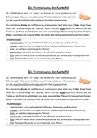 Vorschau - Arbeitsblätter - Die Vermehrung der Kartoffel - Praxis im Biologieunterricht - Seite 1