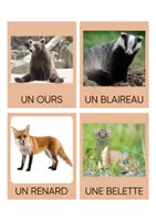 Aperçu - Cartes / Images - Vocabulaire autour de l'album l'écharpe porte bonheur - Page 3