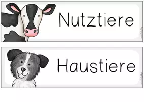 Vorschau - Spiele - Einführung Haustier oder Nutztier - Seite 2