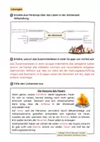Vorschau - Arbeitsblätter - Das Leben in der Altsteinzeit - Seite 3