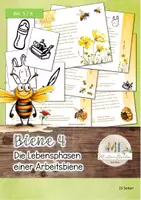 Vorschau - Arbeitsblätter - Biene 4: Die Lebensphasen einer Arbeitsbiene - Flipbook - Deckblatt
