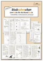 Vorschau - Arbeitsblätter - Stabschrecken Lerntheke Grundschule mit Silbentrennung - Deckblatt