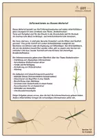 Vorschau - Arbeitsblätter - Stabschrecken Lerntheke Grundschule mit Silbentrennung - Seite 1