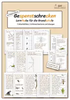 Vorschau - Stationenlernen - Gespenstschrecken Lerntheke Grundschule Silbentrennung - Deckblatt
