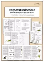 Vorschau - Arbeitsblätter - Gespenstschrecken Lerntheke Grundschule - Deckblatt
