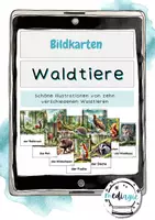 Vorschau - Poster - Waldtiere, Bildkarten - Deckblatt
