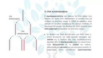Προεπισκόπηση - Πειράματα - Κεφ. 2ο: Αντιγραφή, Εκφραση & Ρύθμιση της Γενετικής Πληροφορίας - Σελίδα 2