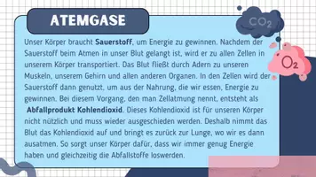 Vorschau - Präsentationen/Tafelbilder - Atmungssystem Präsentation - Tafelbild - Seite 2