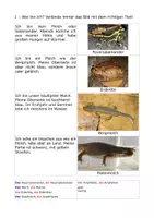 Vorschau - Arbeitsblätter - Biologie sprachsensibel unterrichten - Paket - Seite 2