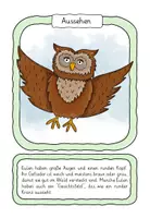 Vorschau - Stationenlernen - Die Eule - Tafelkarten und Textkarten zum Zuordnen - Seite 3
