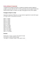 anteprima - Materiale di supporto/inclusione - Fibonacci e il quesito dei conigli - Pagina 2