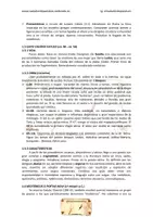 Vista previa - Evaluación - Tema 36 oposiciones latín Lírica y bucólica - página 2