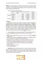Vista previa - Evaluación - Tema 39 oposiciones latín secundaria Comedia, Plauto y Terencio - página 2