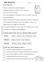Vorschau - Arbeitsblätter - Hamster – Lesetext, Körperteile und Bildkarten | Klasse 2–3 - Seite 3
