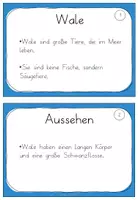 Vorschau - Aufgabenkarten - lehrreiche Wal Wissenskartei - inklusive Arbeitsheft - Seite 2