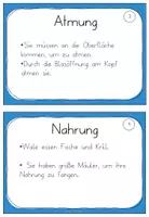 Vorschau - Aufgabenkarten - lehrreiche Wal Wissenskartei - inklusive Arbeitsheft - Seite 3