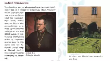 Προεπισκόπηση - Πειράματα - 5.1 Κεφ. 5ο Μενδελική κλήρονιμικότητα - Θεωρία - Σελίδα 2