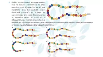 Προεπισκόπηση - Πειράματα - 6.8 Κεφ. 6ο Μεταλλάξεις - Προβλήματα 1ης επανάληψης - Σελίδα 3