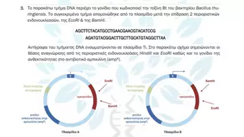 Προεπισκόπηση - Πειράματα - 9.4 Κεφ. 9ο Εφαρμογες Κτηνοτροφίας- Προβλήματα Τάξης - Σελίδα 3
