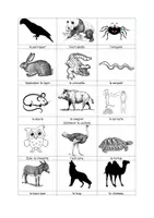 Vorschau - Stundenentwürfe - Wachsendes Mega Materialpaket Französisch: Animaux de zoo und Petit-déjeuner - Seite 3